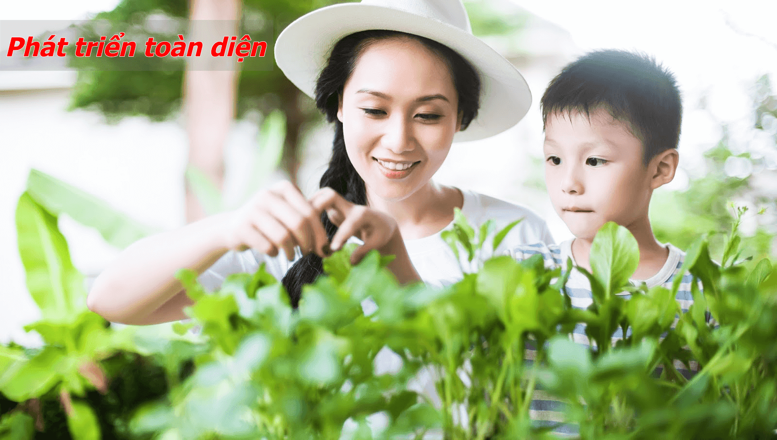 Xuân Mai Tower lựa chọn lý tưởng để con em phát triển tốt nhất Xuân Mai Tower lựa chọn lý tưởng để con em phát triển tốt nhất