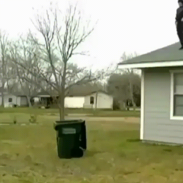 Liberally Lean From The Land Of Dairy Queen It's Friday. Let's Get Out