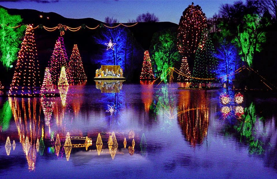 Life of Tracy Salem Pond Christmas Lights