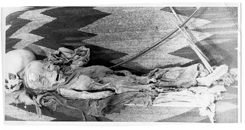 SL Palmer Mummy - Pic 3 (FOIA)