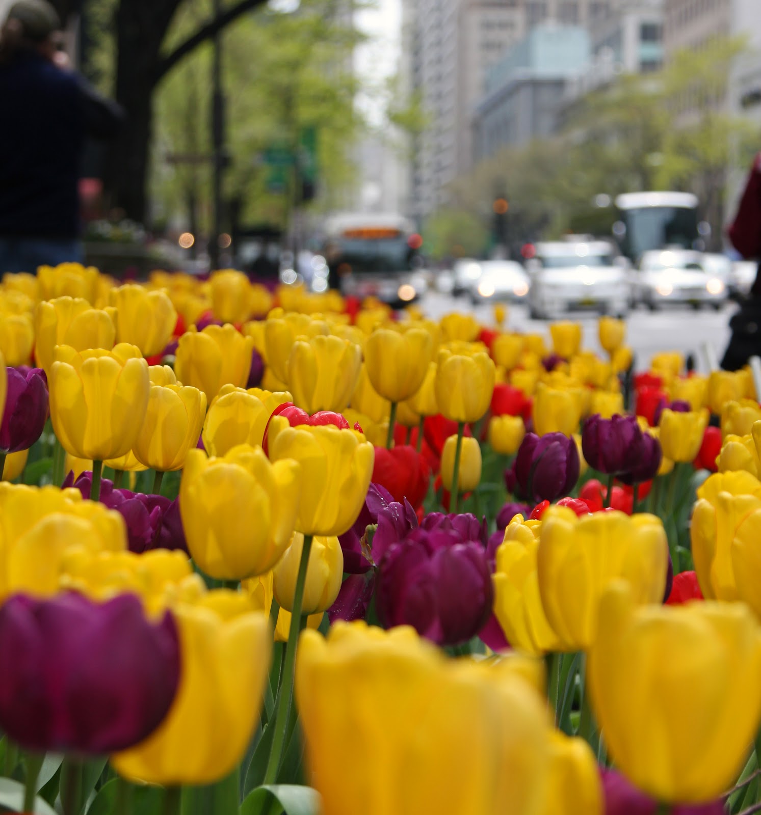 Wherever It Takes City Flowers, Chicago