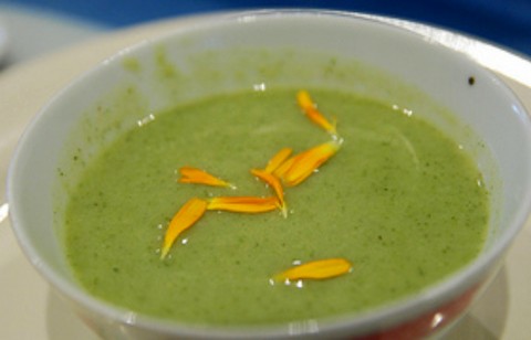 Broccoli soup