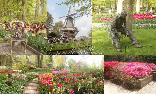 lifestyle -blog- expat the netherlands -amsterdam lifestyle -blog- expat the netherlands -amsterdam