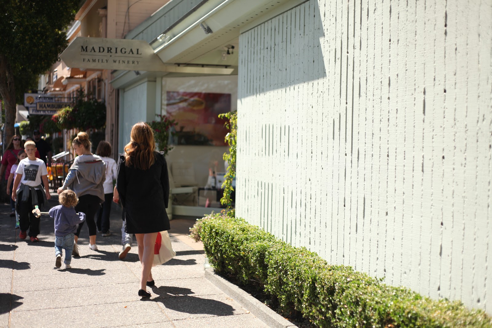 house of habit Tomales Bay with Airbnb