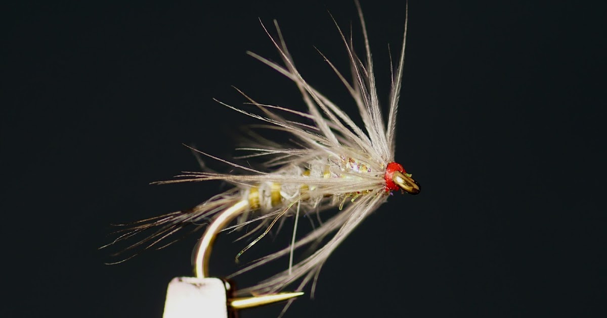 Gray Soft Hackle Fly Fish Food Fly Tying and Fly Fishing