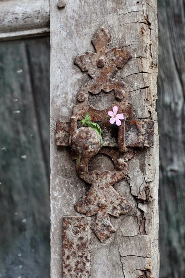 Cut flowers in enchanting decoration ideas