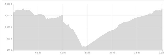 Runyon Canyon elevation