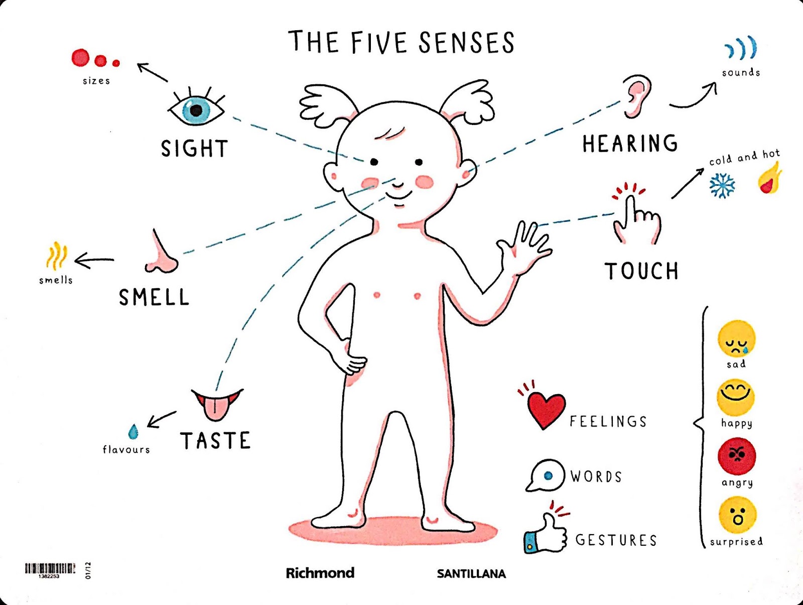 The Scientikids 2019 The 5 Senses the-scientikids-2019-the-5-senses