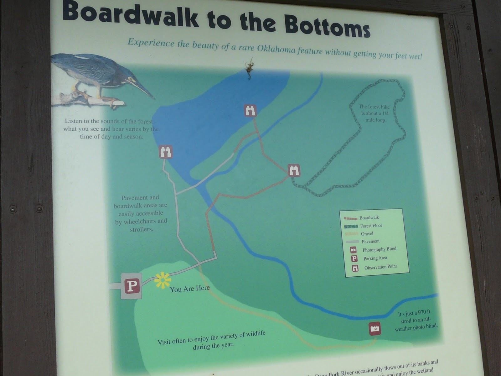 Archiving throughout Arizona, New Mexico, Oklahoma, and Texas Deep