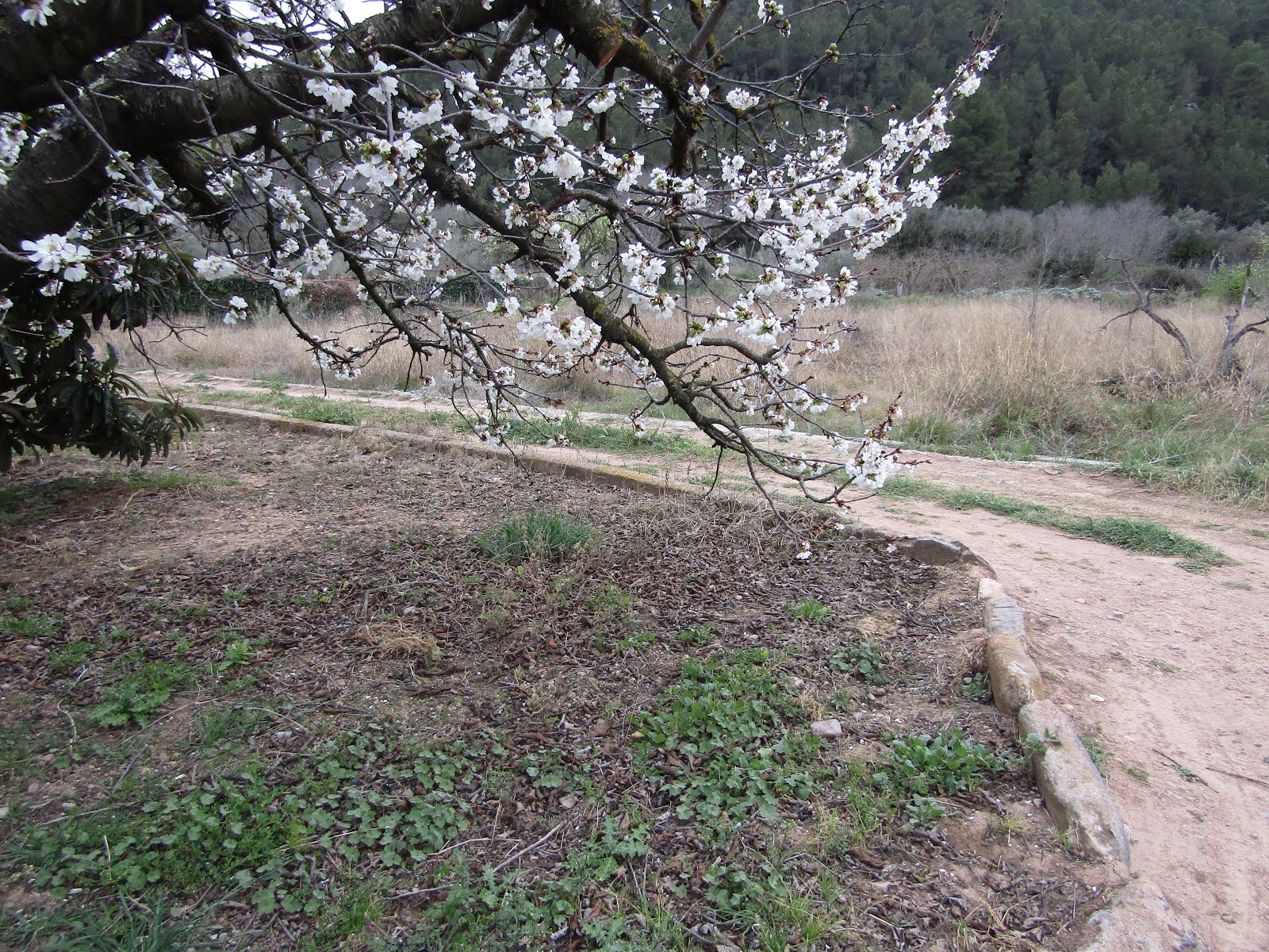 La Vall. Abril I 2016