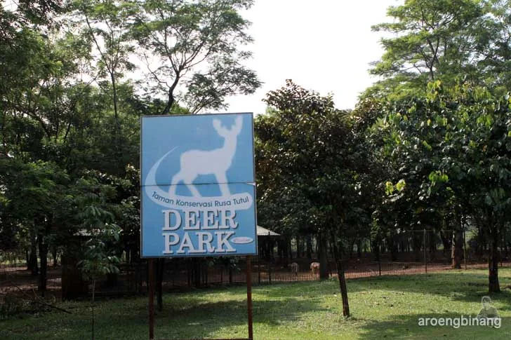 taman buah mekarsari cileungsi bogor