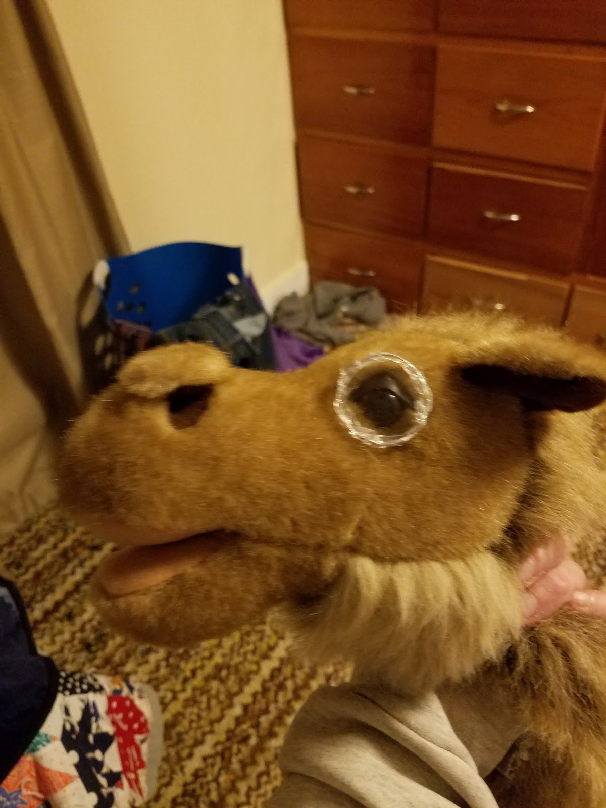 The One And Only Marfalfa Wilber Is A Snappy Dresser