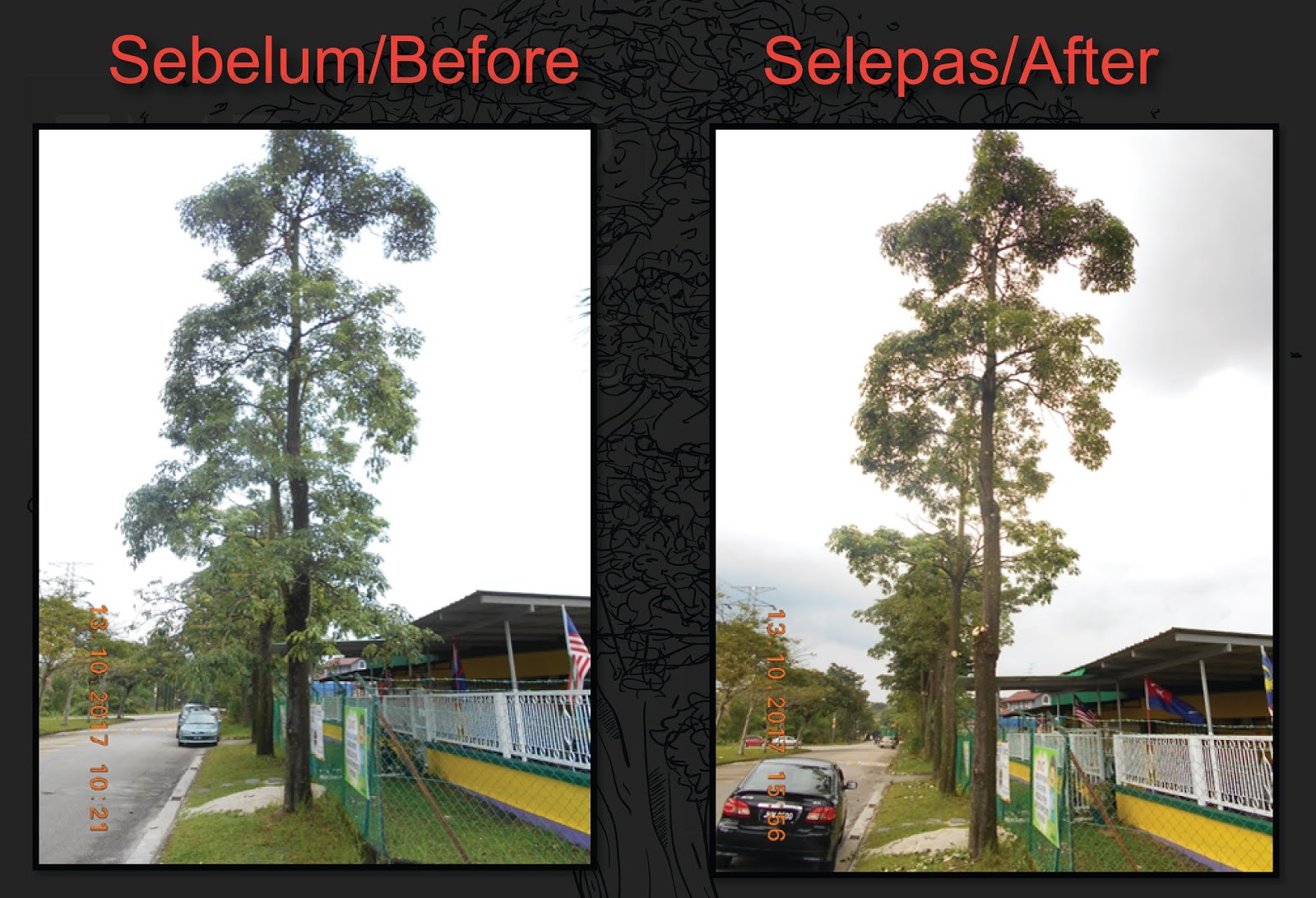 Potong Rumput Johor Bahru Layanan Profesional Facebook 7 Foto