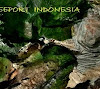 Pusat - Pusat Keunggulan Ekonomi Indonesia