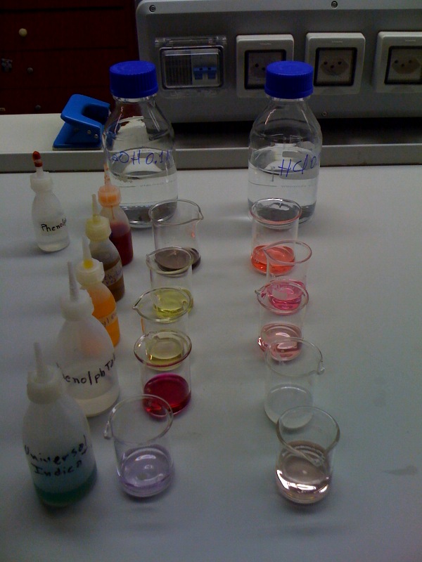 IB2 Chemistry at TASIS Acid/ Base Indicators