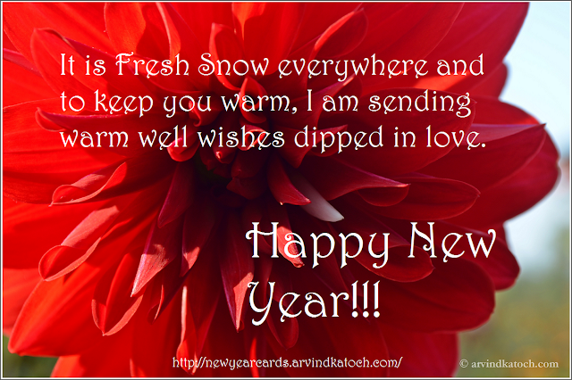 Happy new year, new year card, HD card, Love, dipped, warm, well wishes