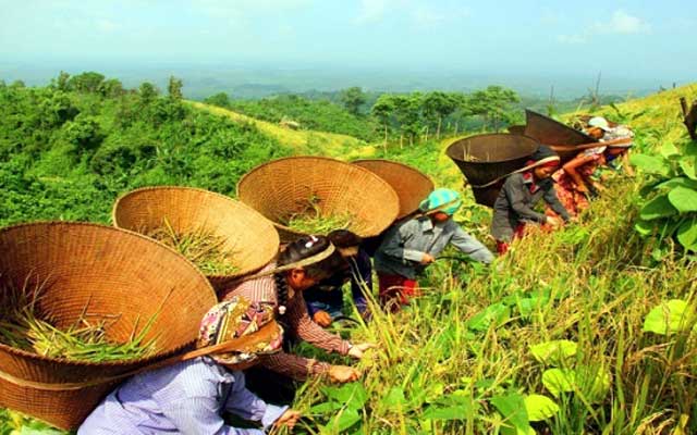 Zoom-cut smoke falls in the mountains পাহাড়ে পড়েছে জুম কাটার ধুম