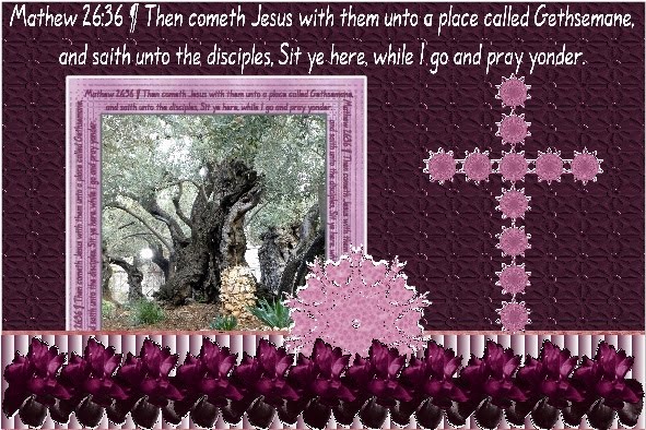 lo 3 - March 2016 - Garden of Gethsemane