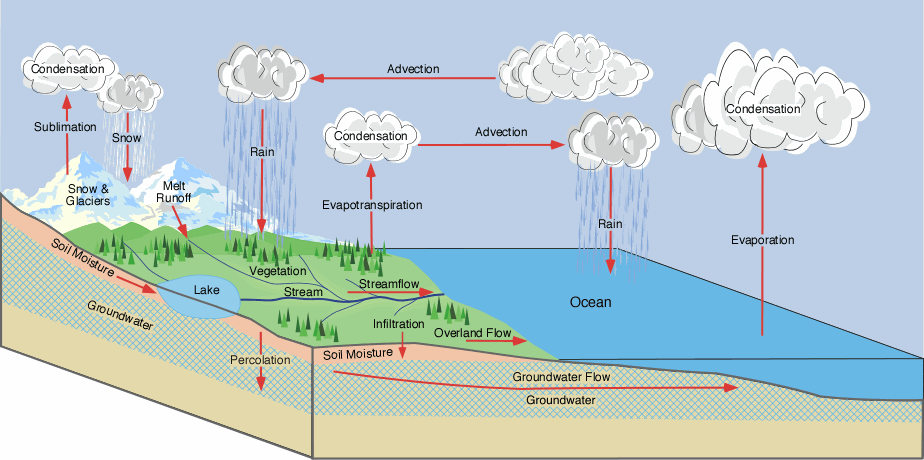Climate Change Influence My Tree Water Is The Source Of Life drainage-basins-vector-illustration-labeled-educational-53-off