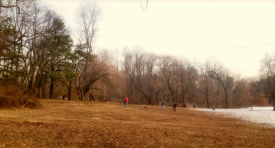 Parkadelphia Blue Bell Park