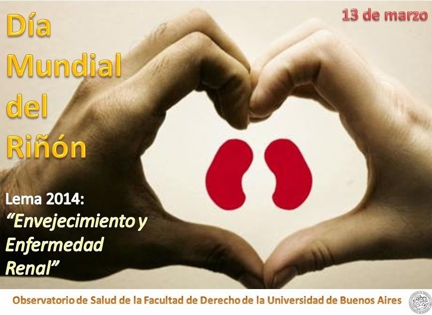 Observatorio de Salud: Hoy se conmemora el Día Mundial del Riñón
