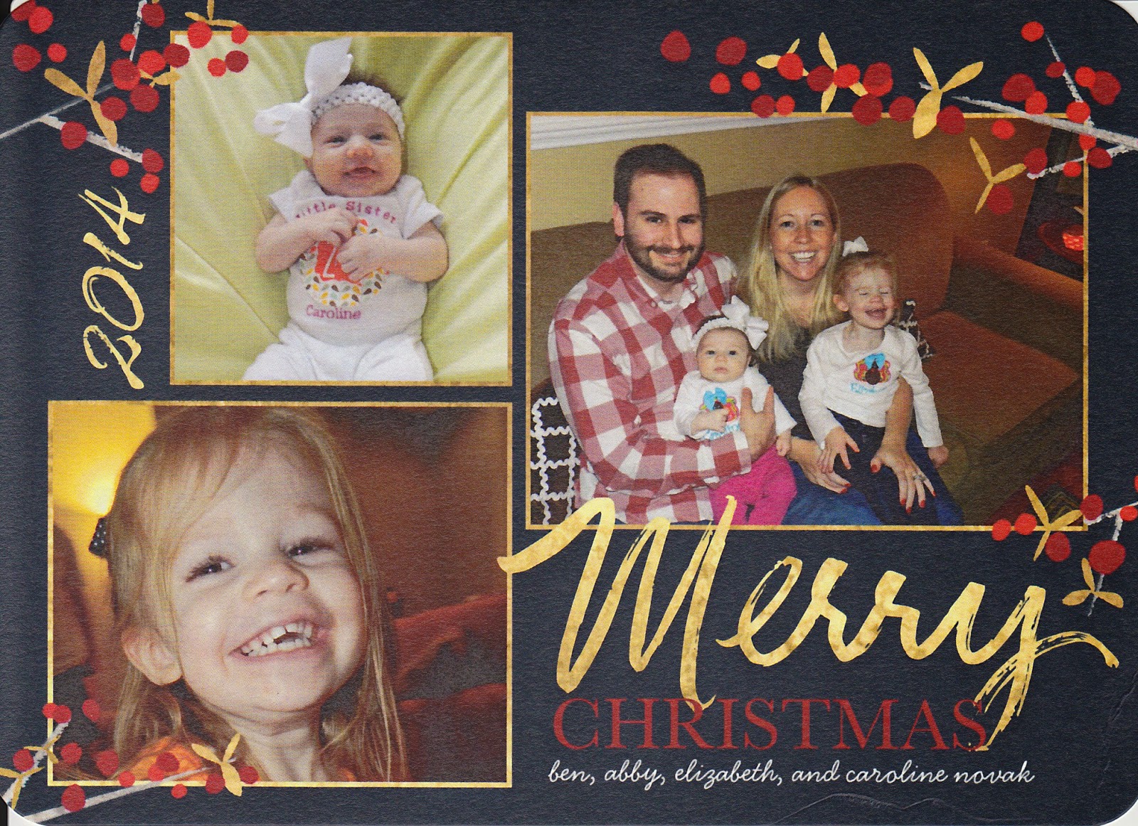 Green bauble happy holidays card The Real Housewife of DC: Christmas Card 2014