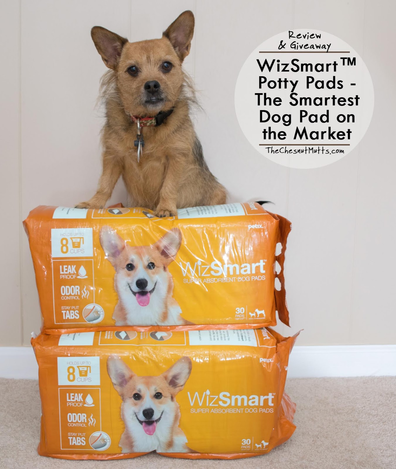 wizsmart puppy pads