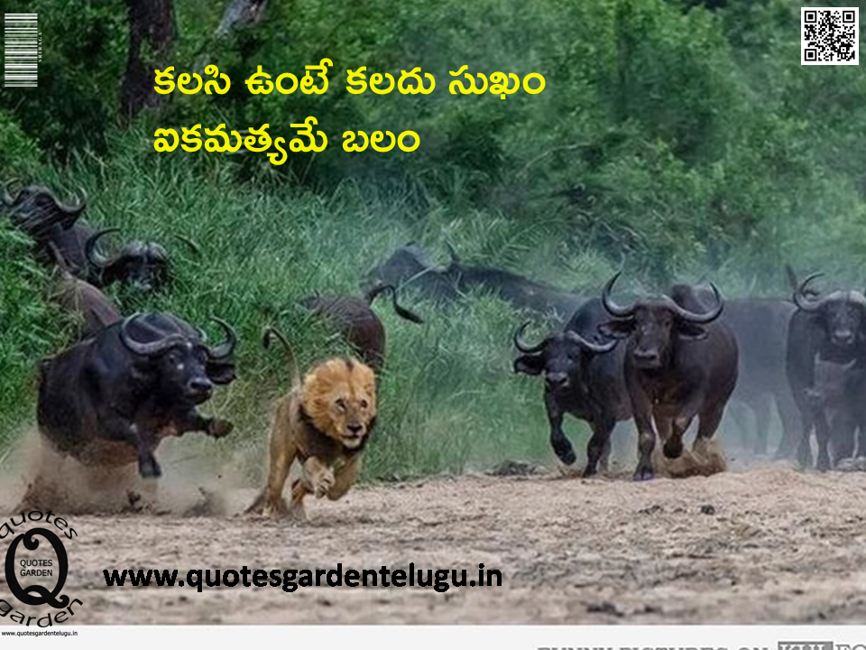 Telugu-Best-Leadership-Quotes-Inspirational-Motivational-images-photoes