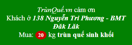 Trùn Quế về Nguyễn Tri Phương - BMT