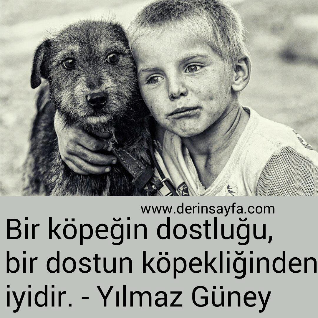 Bir köpeğin dostluğu, bir dostun köpekliğinden iyidir. Yılmaz Güney