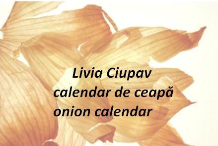 Livia Ciupav - Onion Calendar