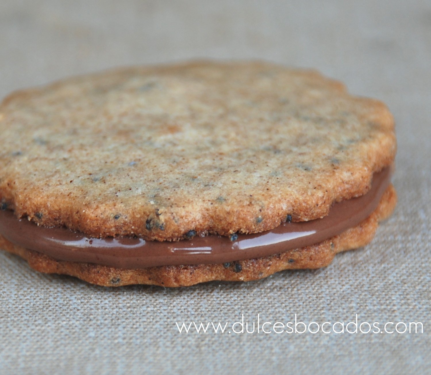 galletas de trigo sarraceno