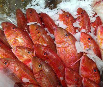 Elegir los salmonetes para cocinar