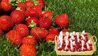 https://masaksiana.blogspot.com - Resep dodol strawberry, resep dodol strawberry yang enak