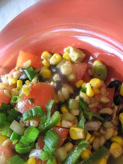 Modern Mexican Food Modern Mexican Food