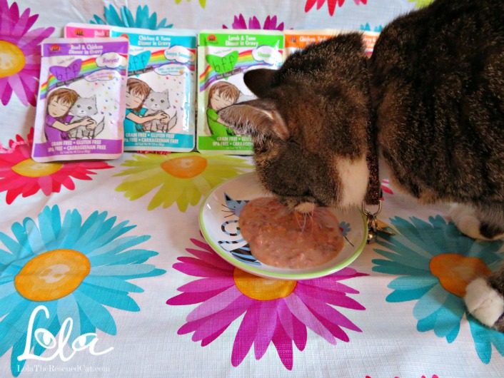 Lola The Rescued Cat Oh My Gravy Weruva Bff Omg Is People Food