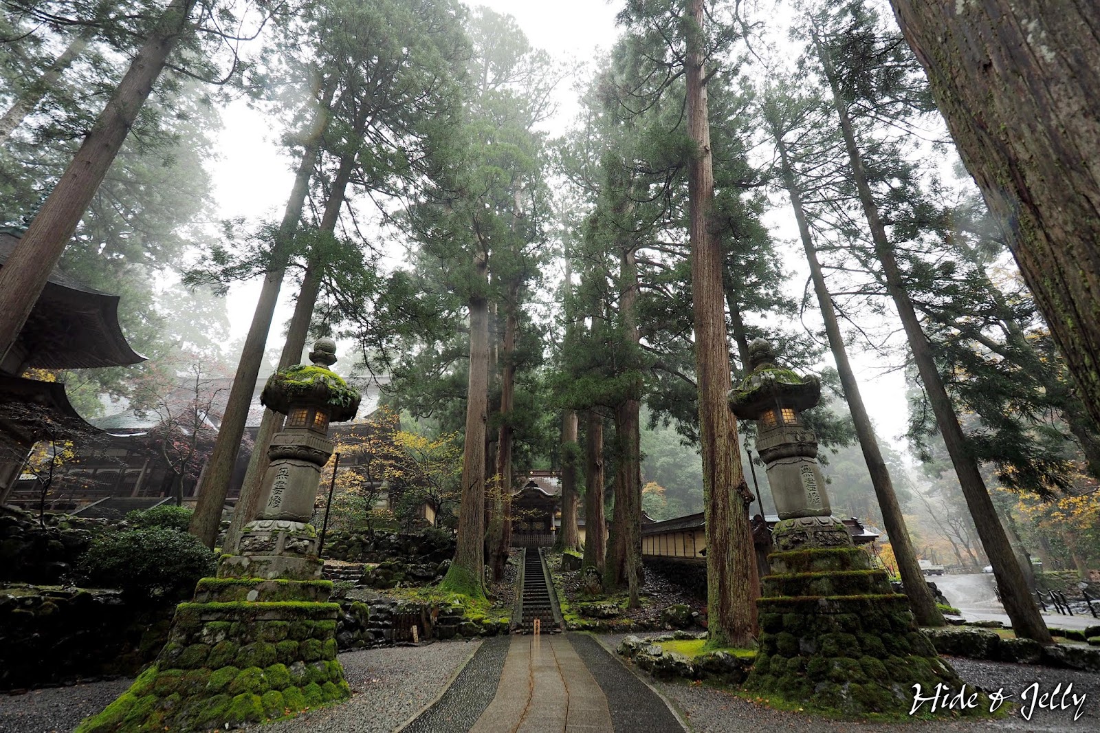 Hide Jelly 17北陸楓葉季day5 福井 古老 莊嚴的曹洞宗大本山 永平寺