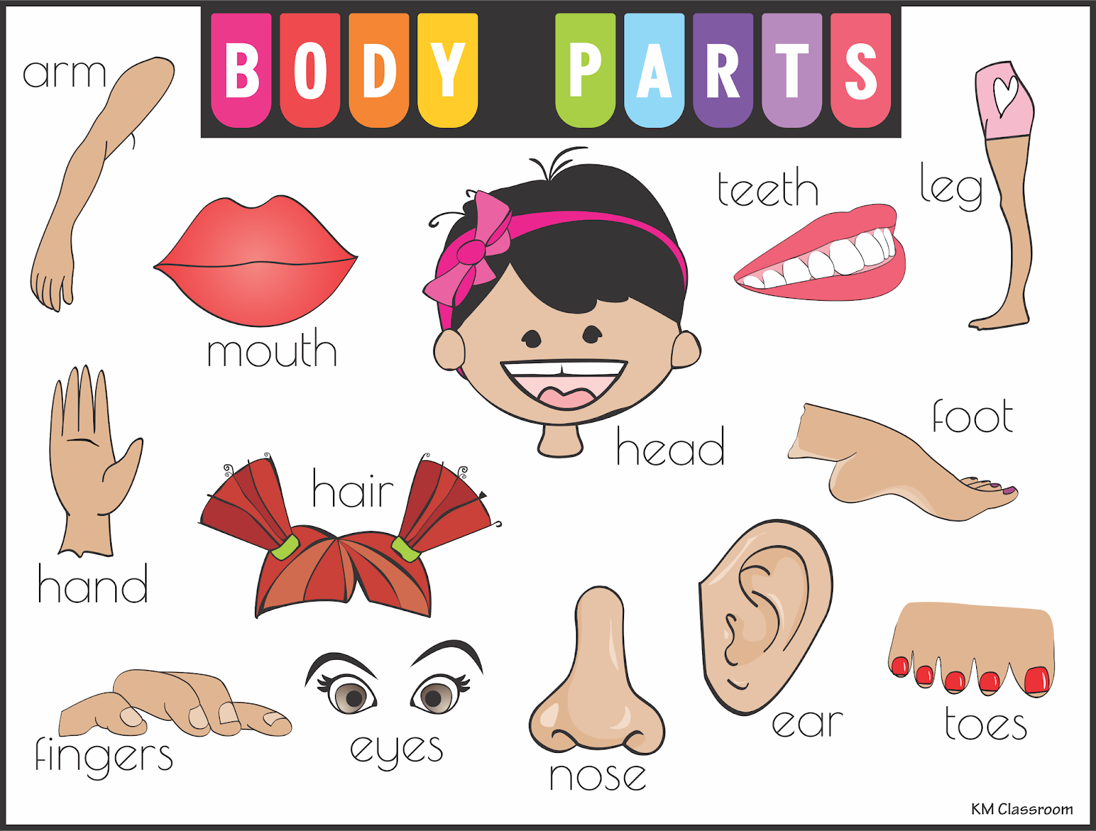km-classroom-body-parts-flashcards-word-cards