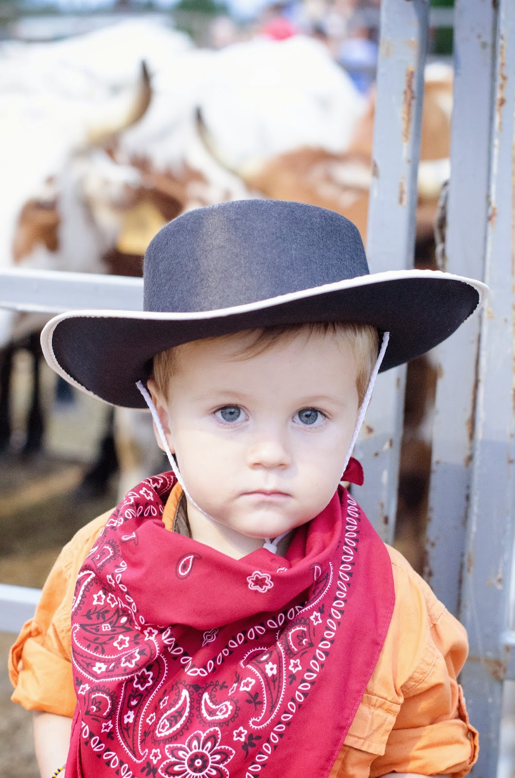 +The Church Cook Cow Girl Chili Recipe and Bloomingdale's First Rodeo