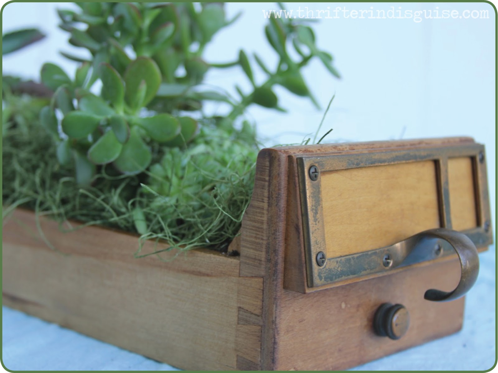 A Thrifter in Disguise Fab Ideas for Antique Card Catalog Drawers