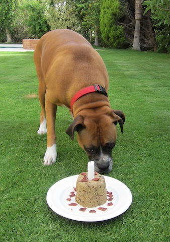 Food Lust People Love: Best Friend Birthday Cake