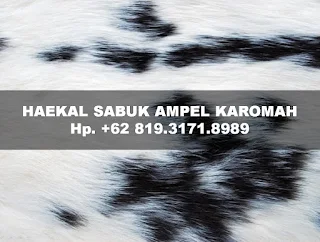 sabuk-ampel-karomah