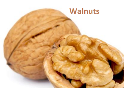 Walnuts for Breast Cancer