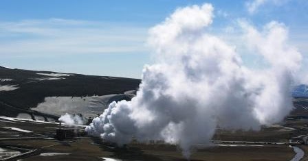 Sumber Energi Alternatif Yang Berasal Dari Tanaman Adalah - Berbagi Tanam