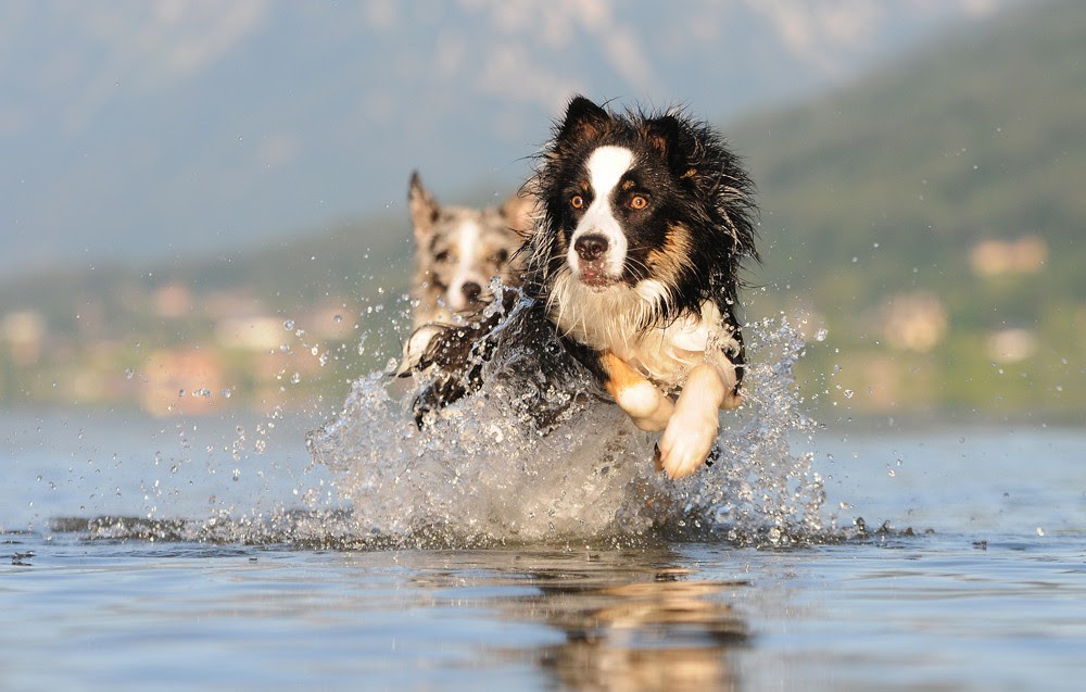 Banco de Imágenes Gratis 24 fotografías