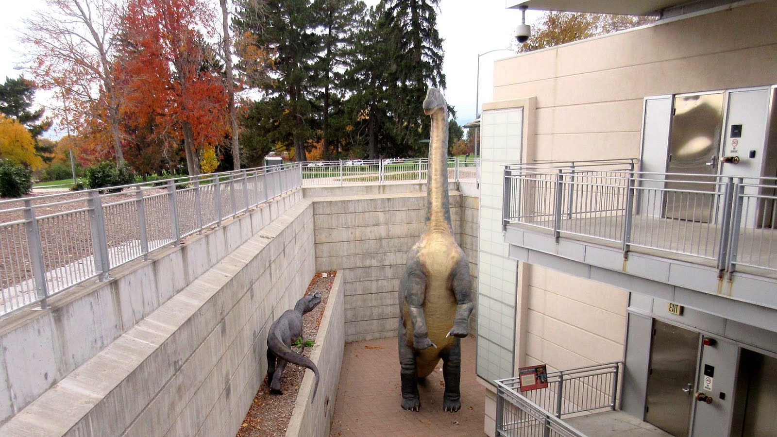 Denver Museum Of Nature And Science Hours Trip to Museum