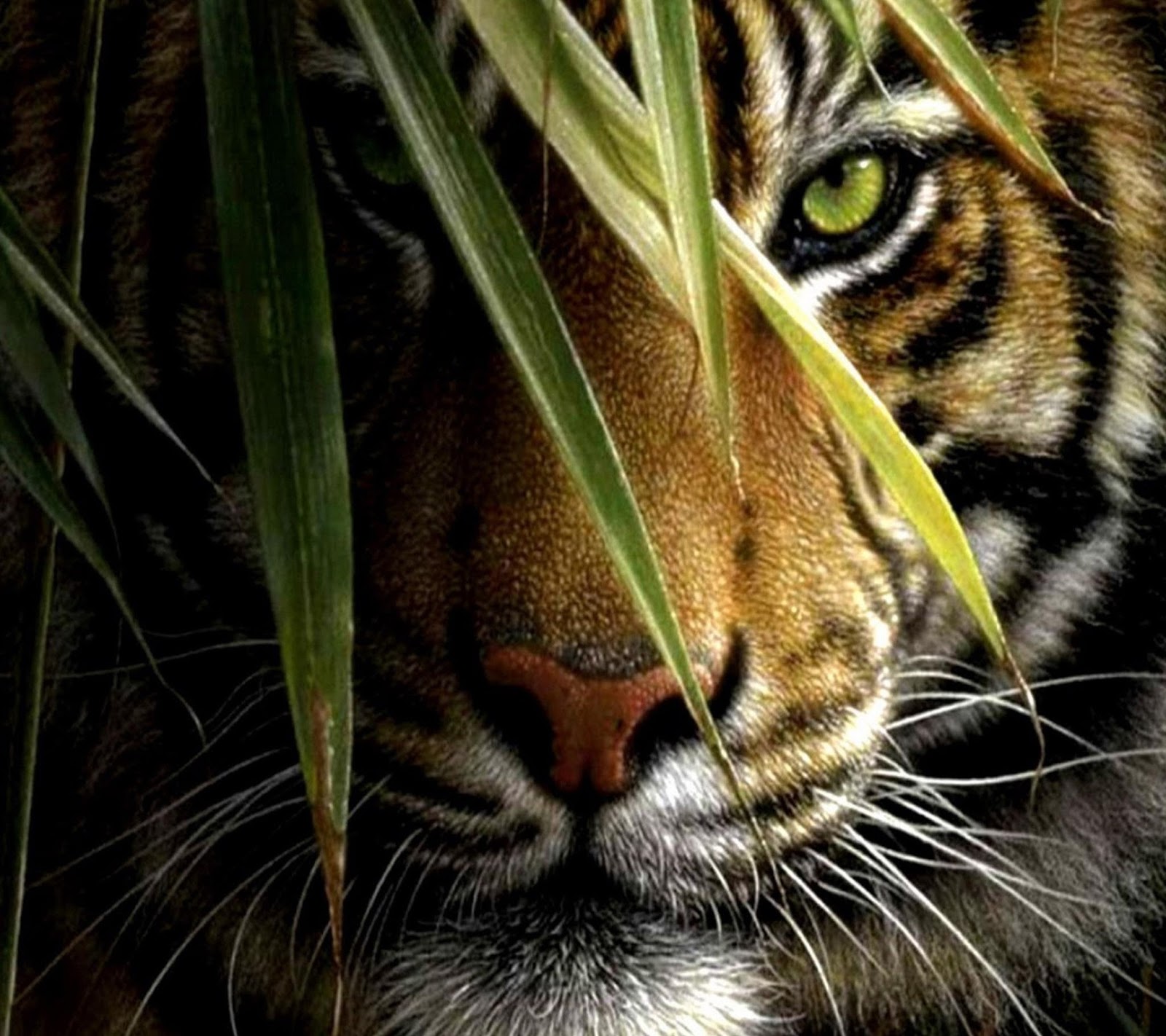 Top 25 Samsung Galaxy S4 Screen Saver Wallpapers Huge Wallpapers