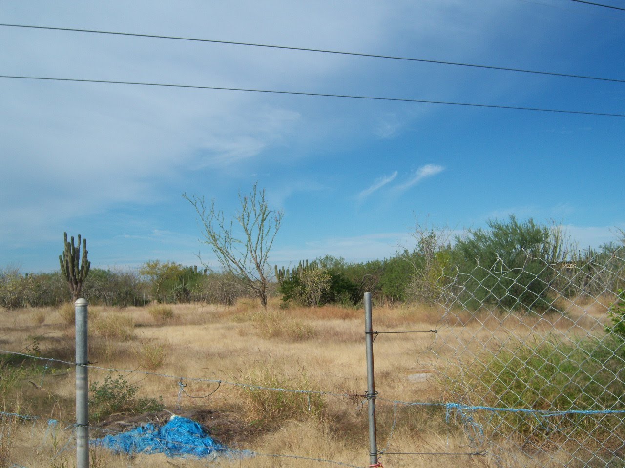 LA PAZ,BAJA CALIFORNIA SURes SE VENDE TERRENO EN SAN PEDRO, B.C.SUR