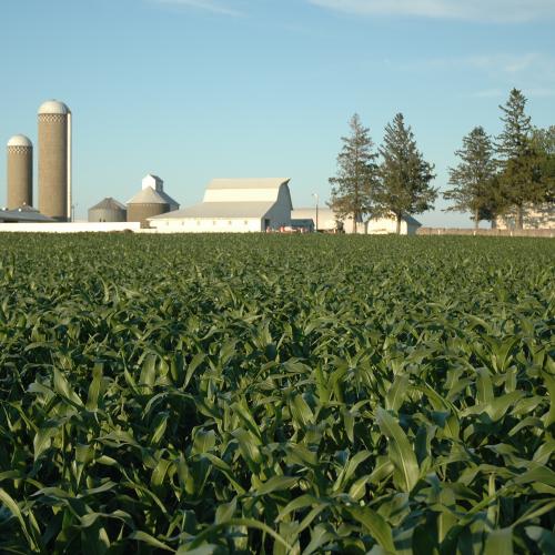 SoxAgro LEADERS OF SENATE AGRICULTURE COMMITTEE SAY NO TO FARM BILL CUTS.