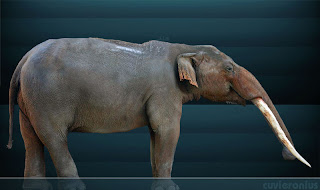 mastodonte wikipedia mastodonte wikipedia